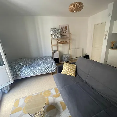 Alienor -poitiers Centre- 20min Futuroscope Apartment *
